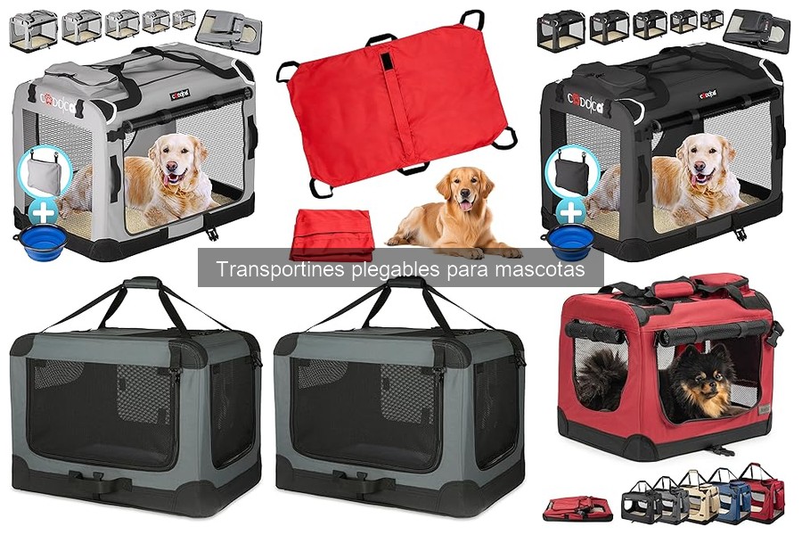 Mejores transportines plegables para viajar en avión con mascotas