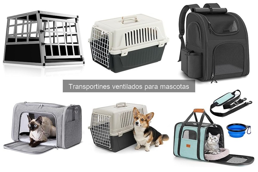 Mejores transportines ventilados para mascotas en 2023