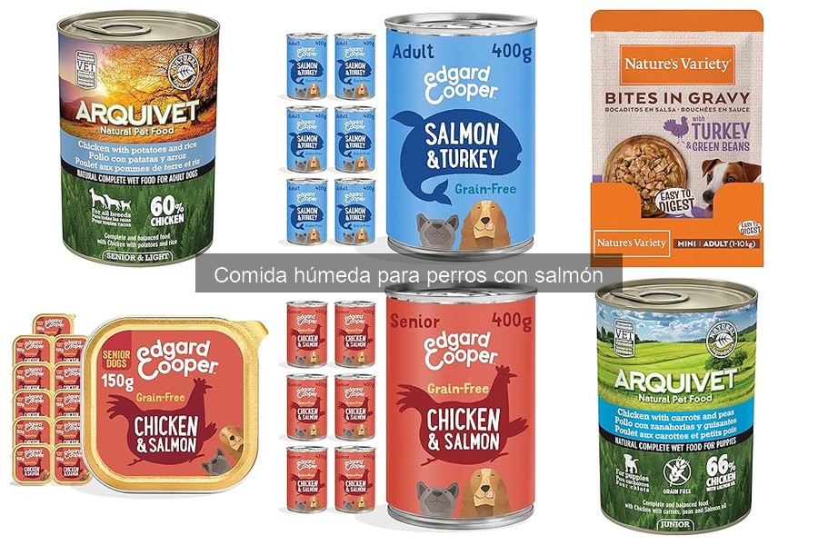 Mezclar comida húmeda de salmón y comida seca para perros