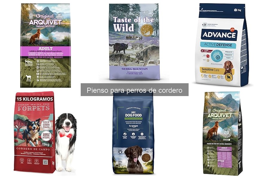 Mitos sobre el pienso de cordero para perros desmentidos