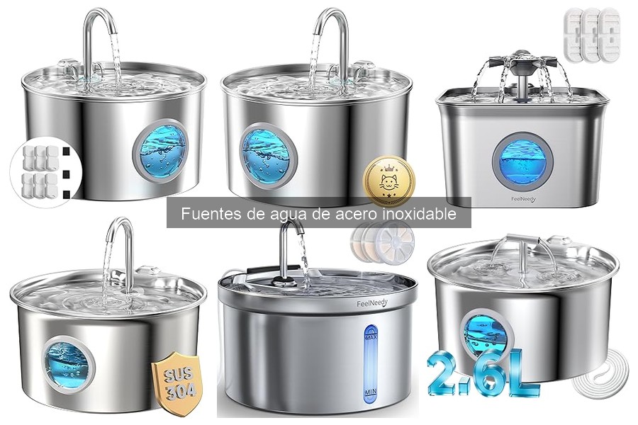Mitos sobre fuentes de agua de acero inoxidable para mascotas