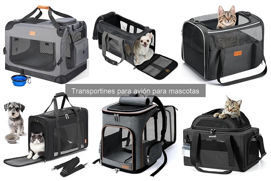 Normativas para transportines de mascotas en vuelos