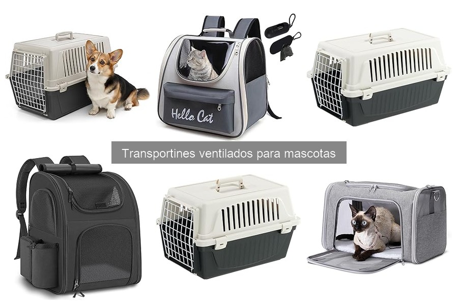 Normativas sobre Transportines Ventilados para Viajar en Avión
