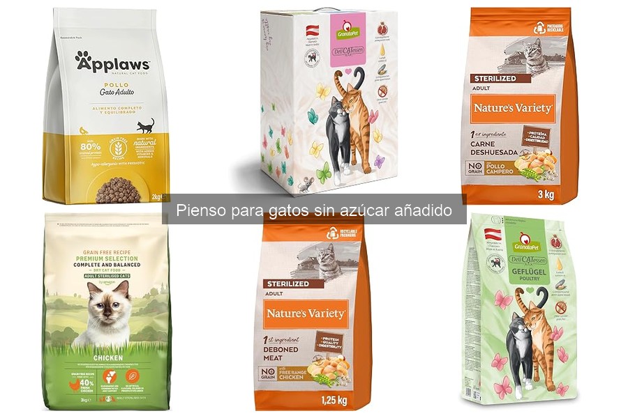Nutrientes esenciales en el pienso para gatos sin azúcar