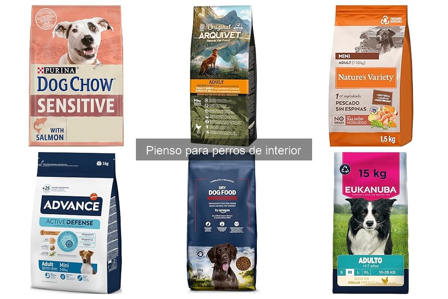 Nutrientes esenciales en el pienso para perros de interior