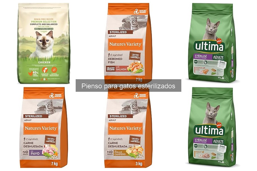 Nutrientes esenciales para el pienso de gatos esterilizados