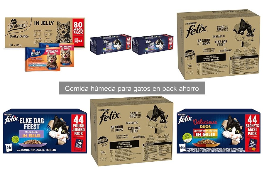Ofertas en comida húmeda para gatos: descuentos irresistibles