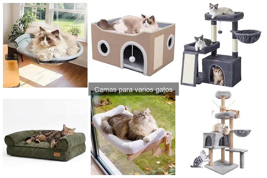 Ofertas imperdibles en camas para gatos en 2023