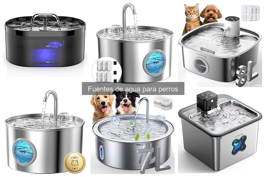 Ofertas y Descuentos en Fuentes de Agua para Perros