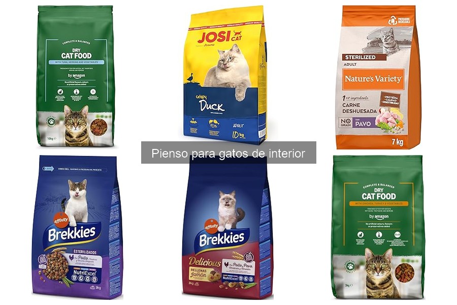 Ofertas y Descuentos en Pienso para Gatos de Interior