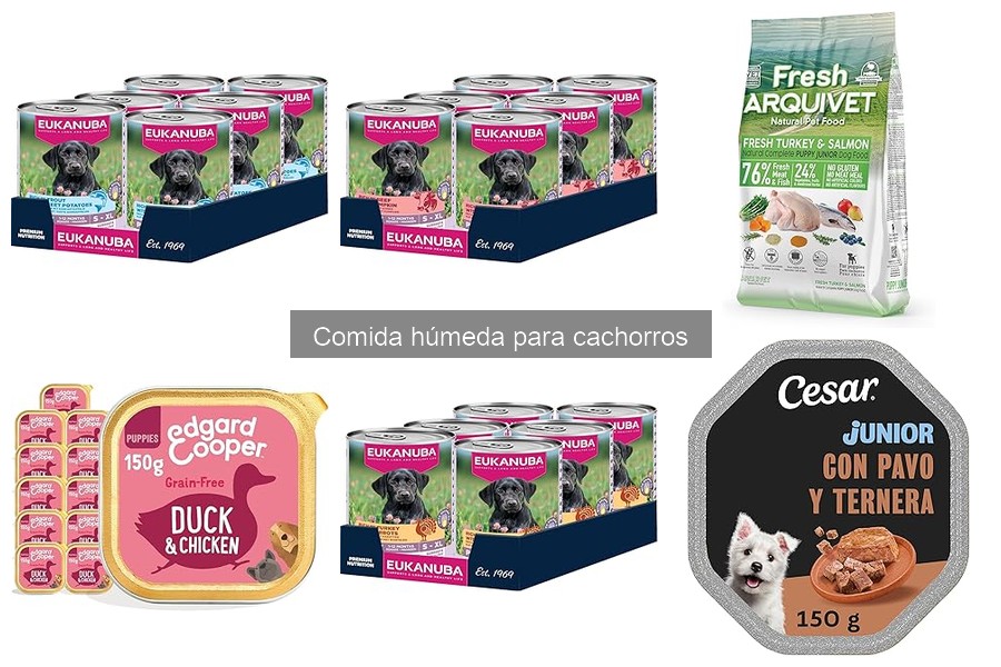Ofertas y precios de comida húmeda para cachorros