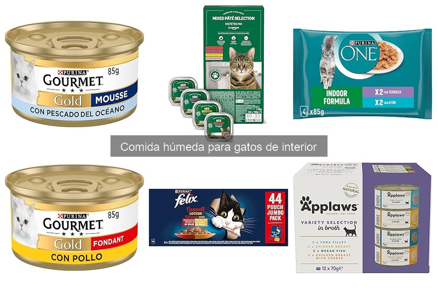 Ofertas y precios de comida húmeda para gatos de interior