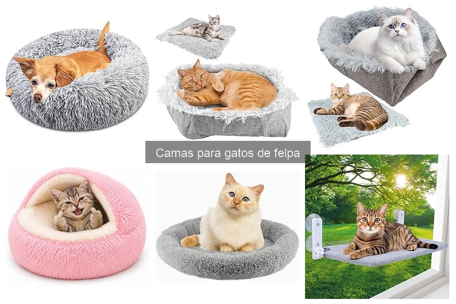 Opiniones de camas de felpa para gatos: experiencias reales