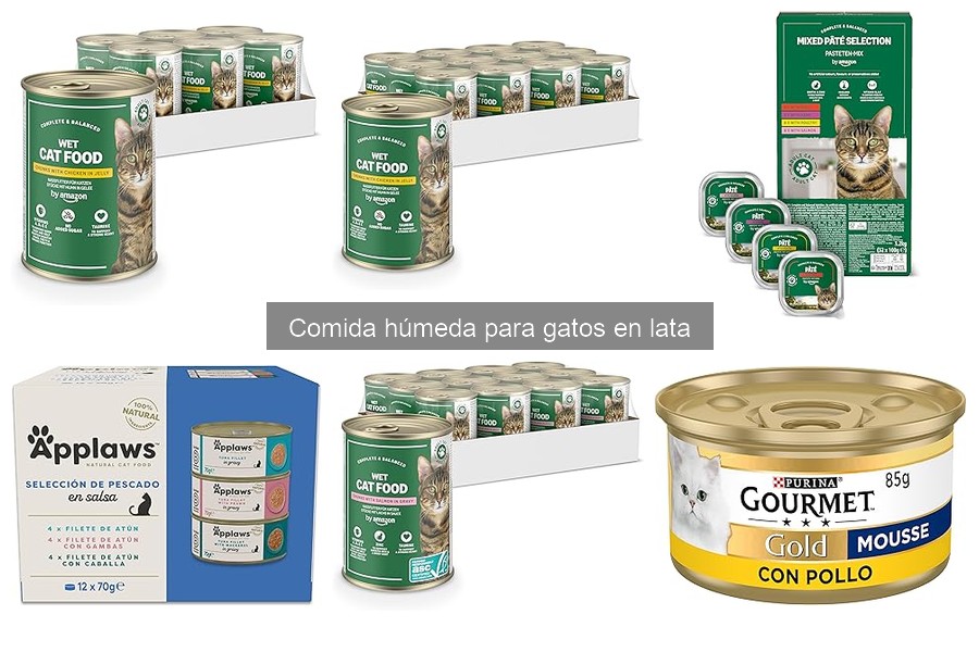Opiniones de veterinarios sobre comida húmeda para gatos