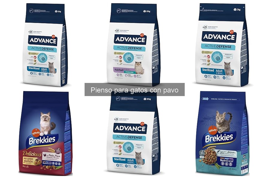 Opiniones de veterinarios sobre pienso de pavo para gatos