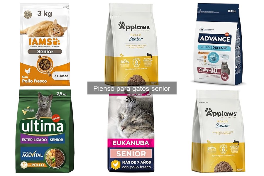 Opiniones de veterinarios sobre pienso para gatos senior