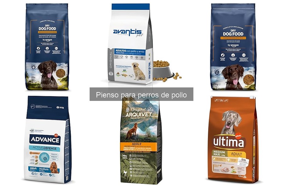 Opiniones del pienso de pollo para perros: ¿Vale la pena?