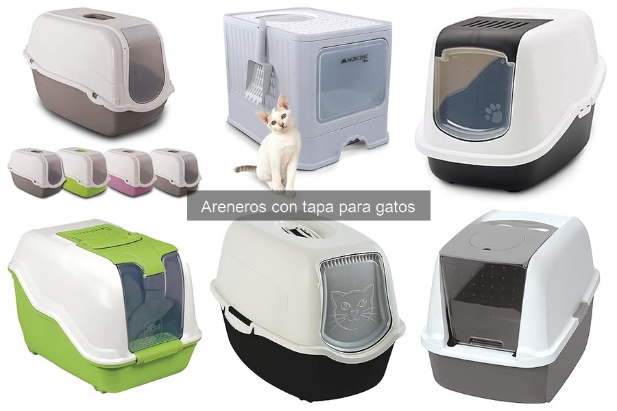 Opiniones sobre areneros con tapa: guía de usuarios