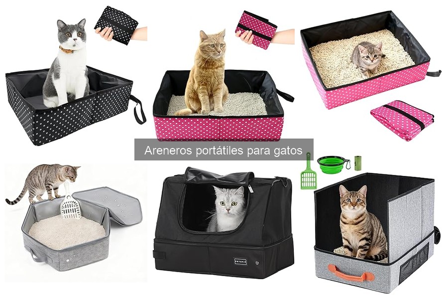 Opiniones sobre areneros portátiles para gatos: tops y reseñas