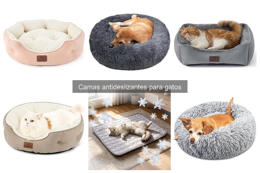 Opiniones sobre camas antideslizantes para gatos