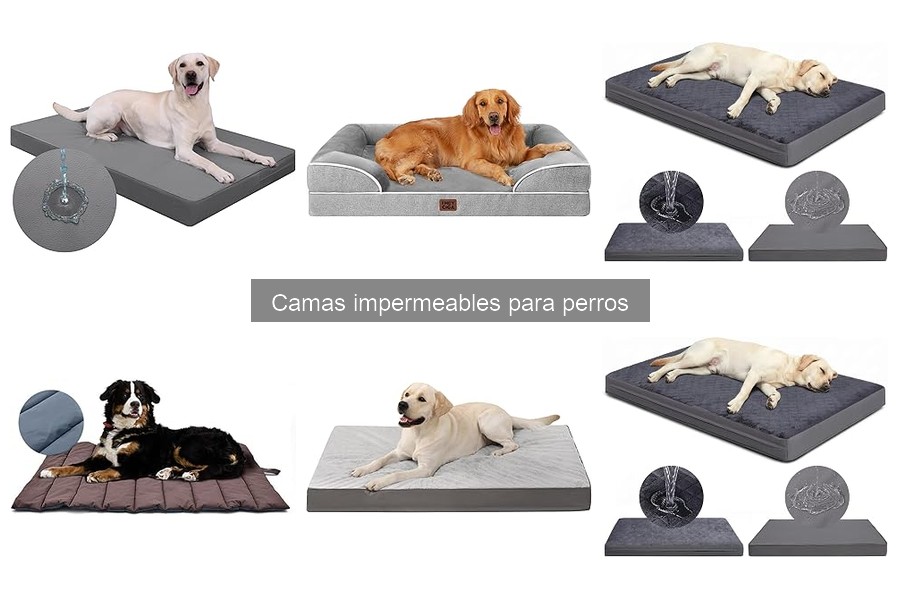 Opiniones sobre camas impermeables para perros