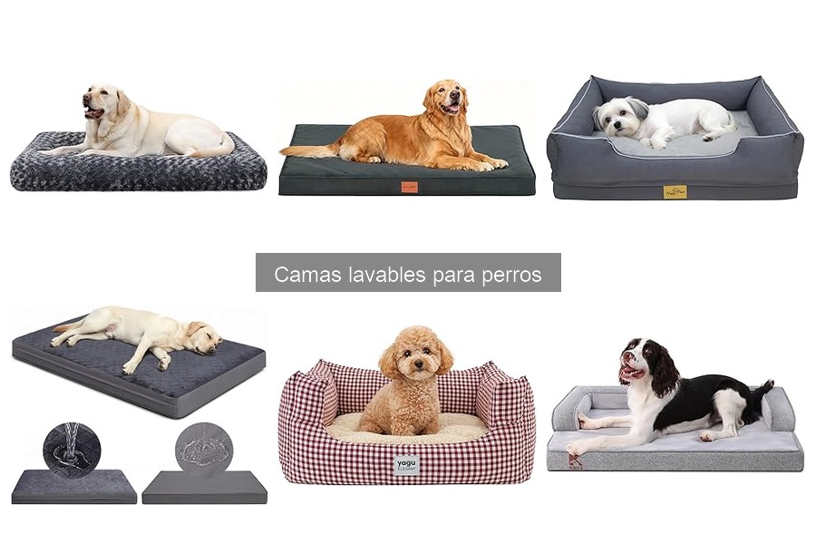 Opiniones sobre camas lavables para perros: ¡Descubre las mejores!