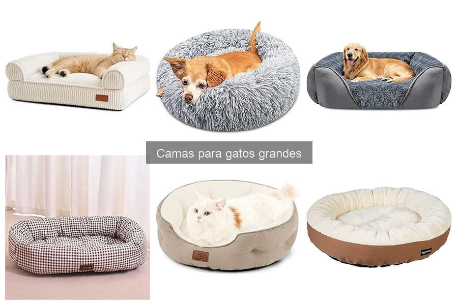 Opiniones sobre camas para gatos grandes: comparativa 2023