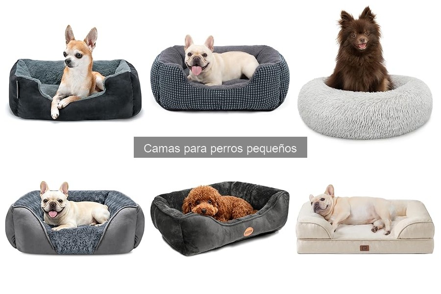 ** Opiniones sobre Camas para Perros Pequeños: Experiencias Reales
