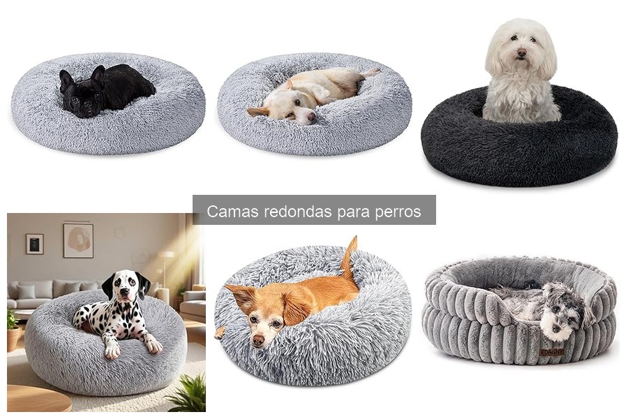 Opiniones sobre camas redondas para perros: Reseñas reales