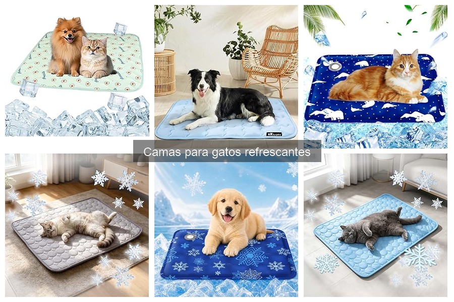 Opiniones sobre camas refrescantes para gatos en 2023