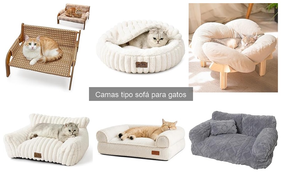 Opiniones sobre camas tipo sofá para gatos: reseñas y experiencias