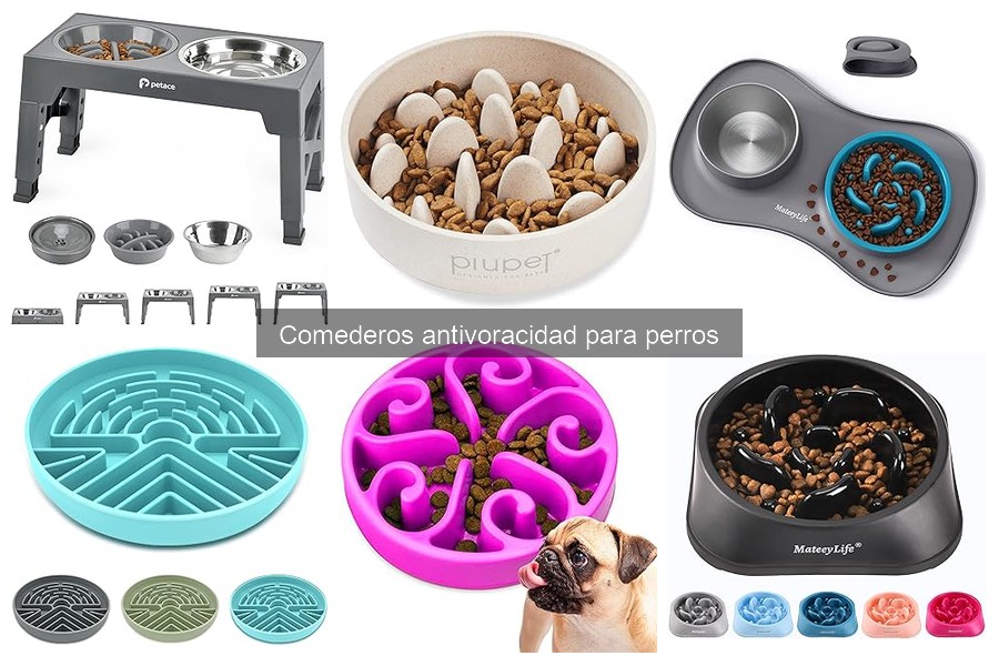 Opiniones sobre comederos antivoracidad para perros