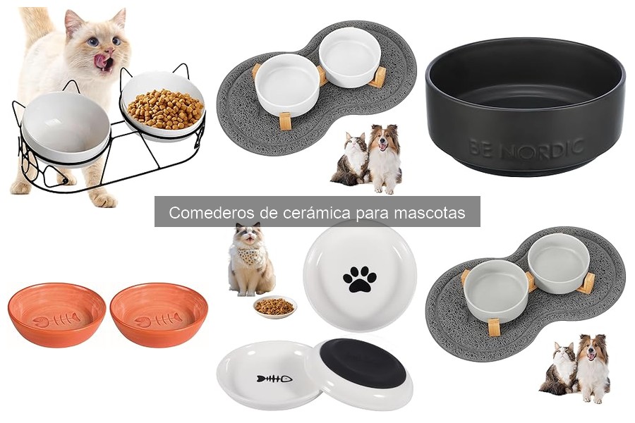 Opiniones sobre Comederos de Cerámica para Mascotas