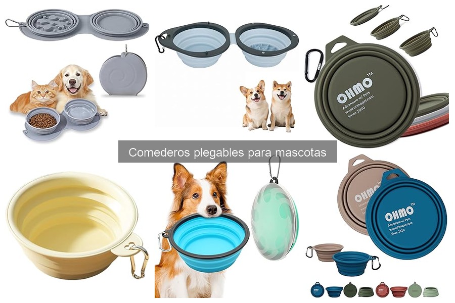 Opiniones sobre comederos plegables para perros y gatos