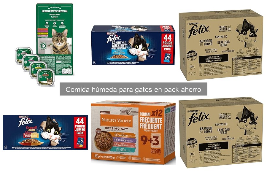 Opiniones sobre comida húmeda para gatos: ¿Cuáles son las mejores?