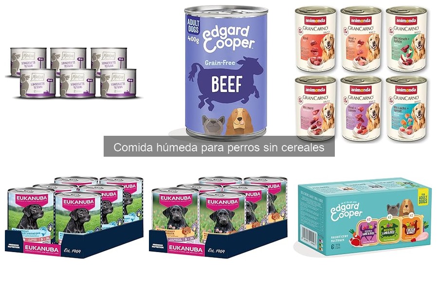 Opiniones sobre Comida Húmeda Sin Cereales para Perros