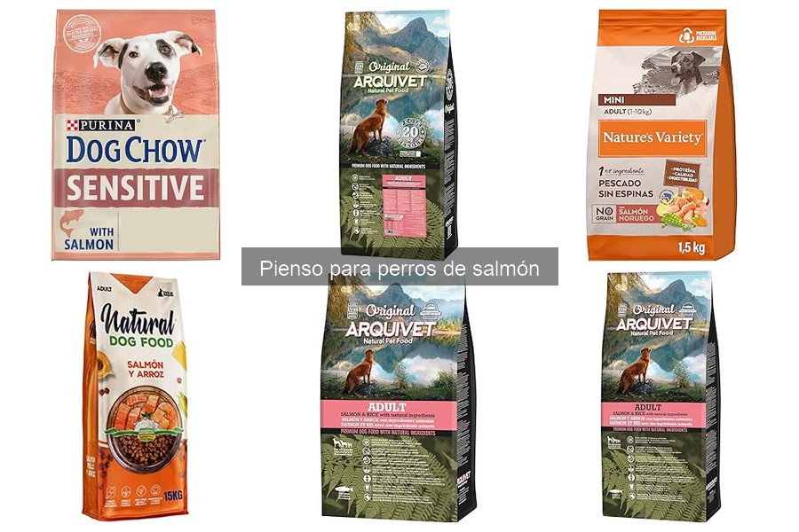 Opiniones sobre el pienso de salmón para perros