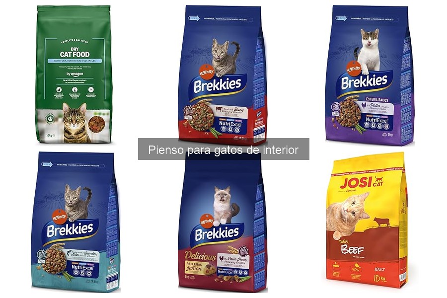 Opiniones sobre el pienso para gatos de interior: ¿Cuál elegir?