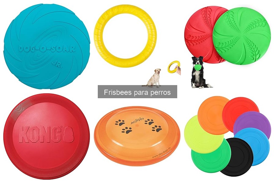 Opiniones sobre Frisbees para Perros: Mejores Opciones y Experiencias