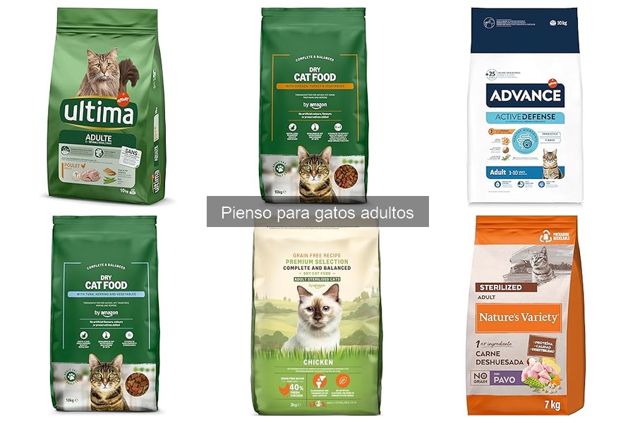 Opiniones sobre los mejores piensos para gatos adultos