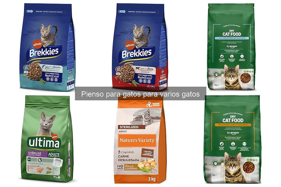 ** Opiniones sobre los mejores piensos para varios gatos