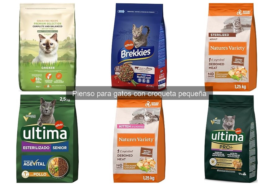 Opiniones sobre pienso para gatos con croqueta pequeña