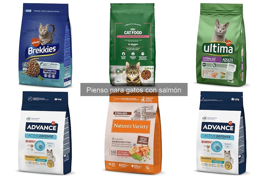 Opiniones sobre pienso para gatos con salmón