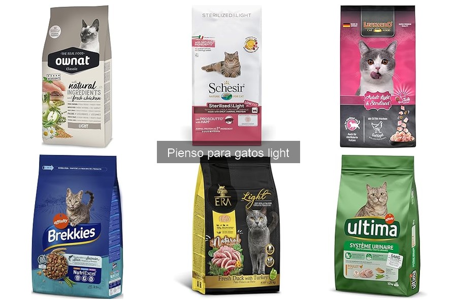 Opiniones sobre pienso para gatos light: lo que dicen los dueños