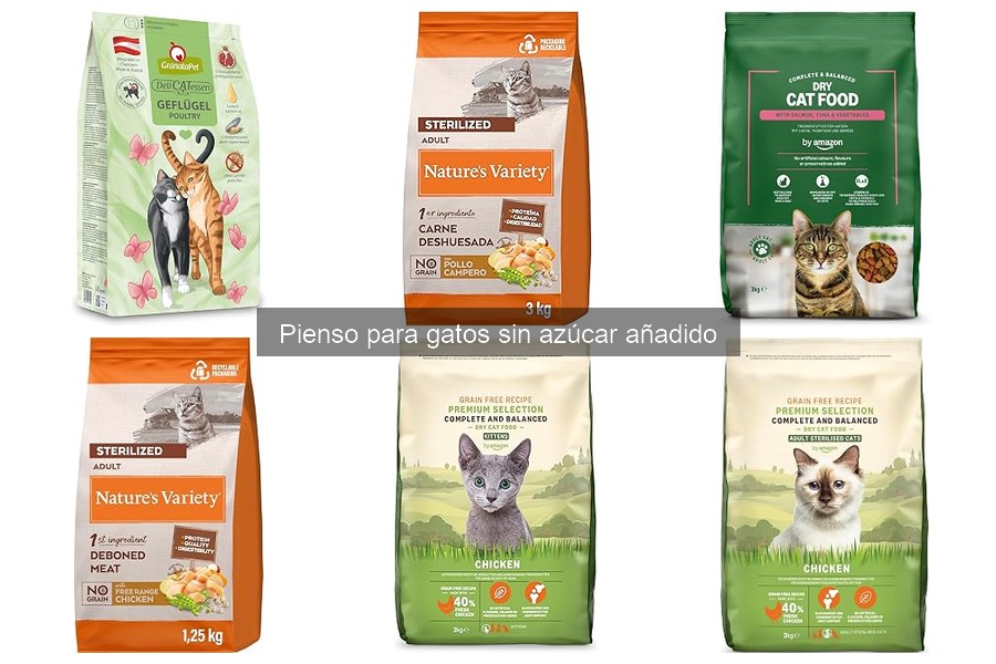 Opiniones sobre pienso para gatos sin azúcar añadido