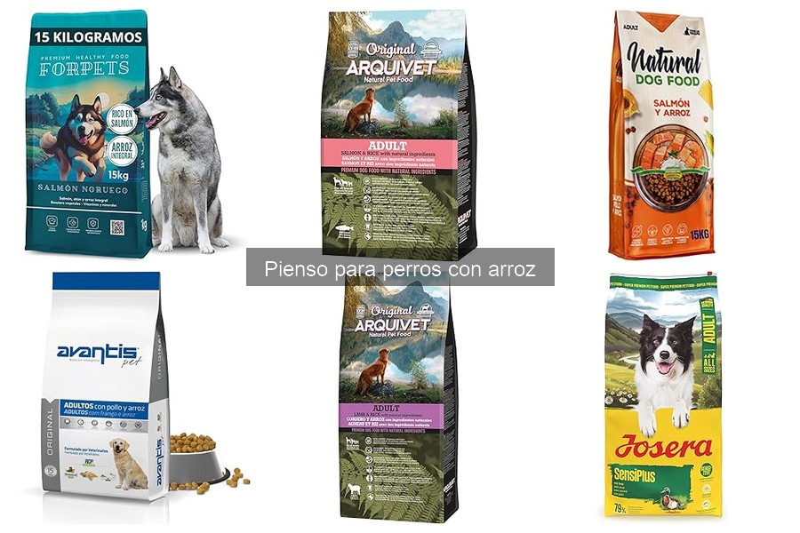Opiniones sobre pienso para perros con arroz: experiencias reales