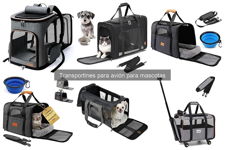 Opiniones sobre transportines para avión para mascotas