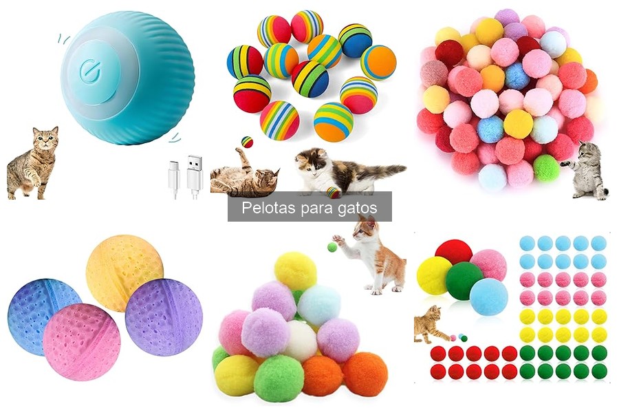 Pelotas interactivas para gatos: ¿realmente valen la pena?