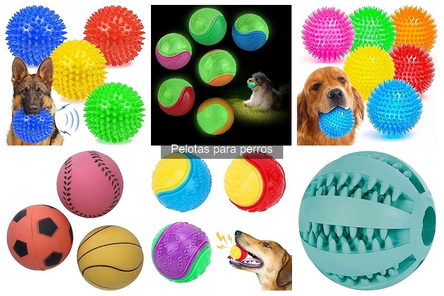 Pelotas para perros que flotan: las mejores opciones