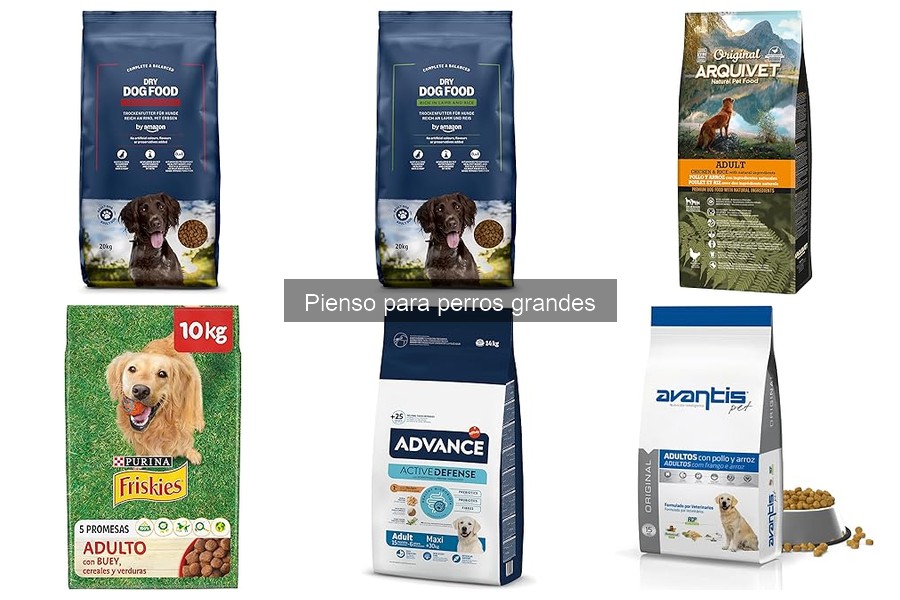 Pienso hipoalergénico para perros grandes: Mejores opciones